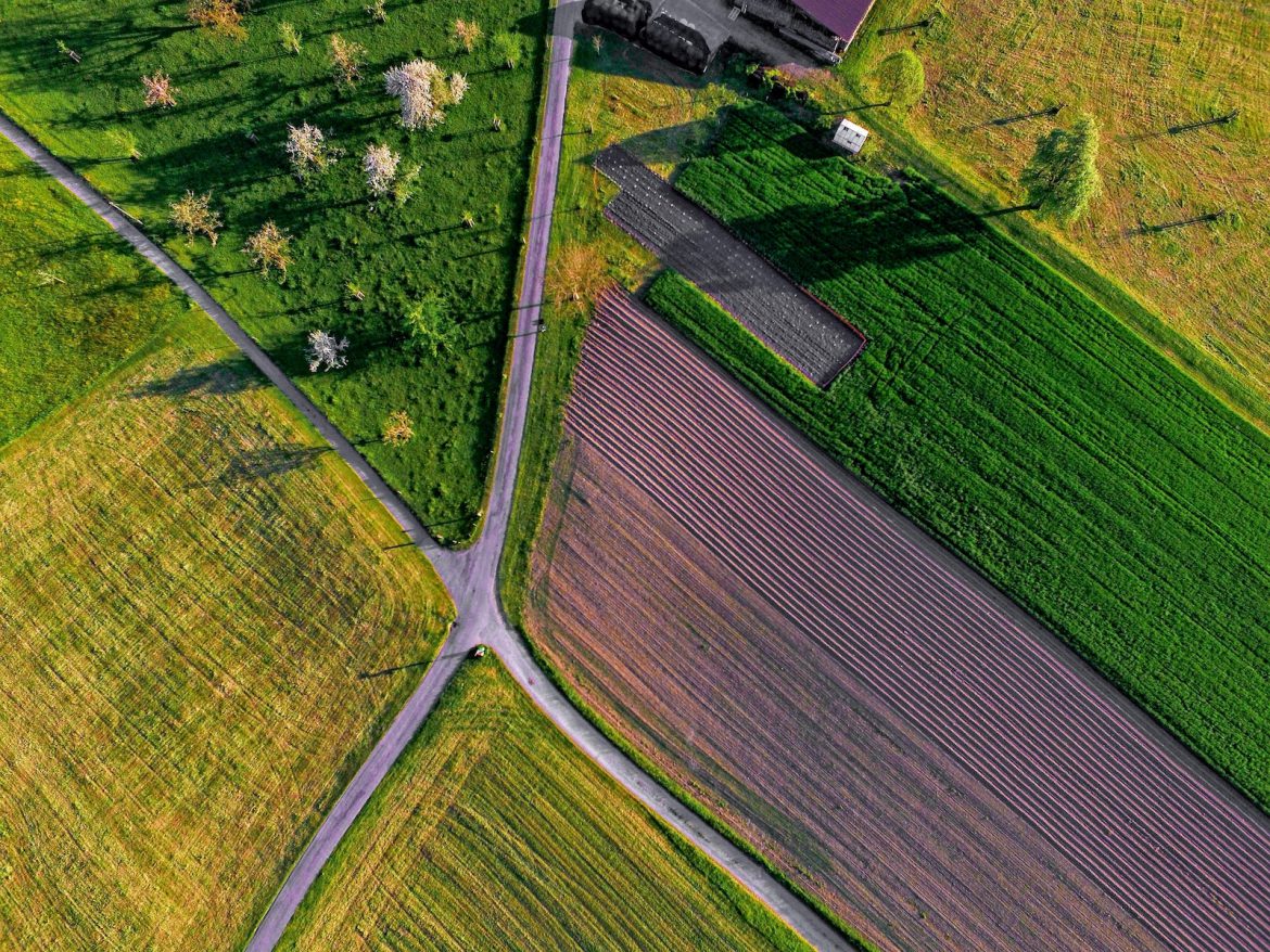 Zasiedzenie nieruchomości w dobrej i złej wierze