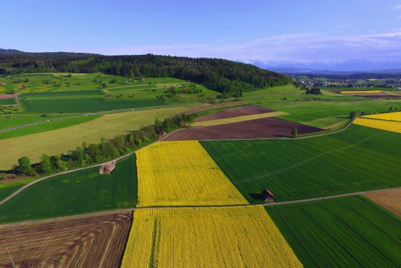 Wypis z rejestru gruntów i wyrys z mapy ewidencyjnej - jak uzyskać?
