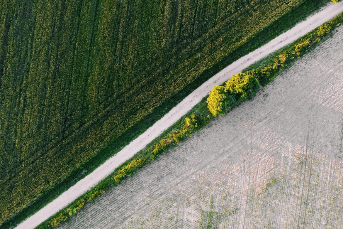 Co należy sprawdzić przed zakupem działki?