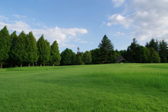 Jak i gdzie sprawdzić zadłużenie działki?